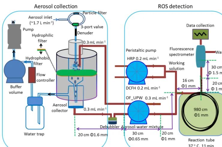 Figure 1. An overview of the online ROS analyzer. OF-UPW refers to oxygen-free ultra-pure water