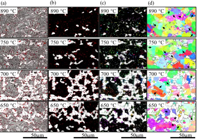 Fig. 2　OIM images of the samples processed at several isothermal holding temperatures