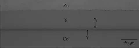 Fig. 2　Concentration profles of Co and Zn across compound layers in dif-fusion couple annealed at T =  573 K for t =  30 h (108 ks).