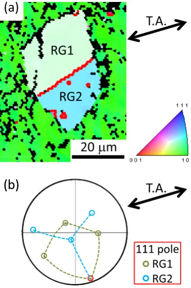 Fig. 4　(a) SEM/EBSD inverse-pole-fgure orientation map of a pair of ma-jor recrystallized grains (RG1 and RG2) in the annealed <111>{110} specimen