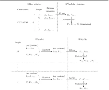 Fig. 1 Illustration of extracting words. “Sl,1” represented the positions of the first repeated sequence oflength l, and “Pl,1” represented its P value for KS test, and so on