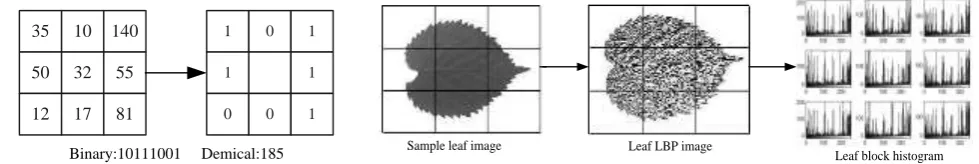 Figure 1. Basic LBP operator.                                      Figure 2. Image block and block histogram