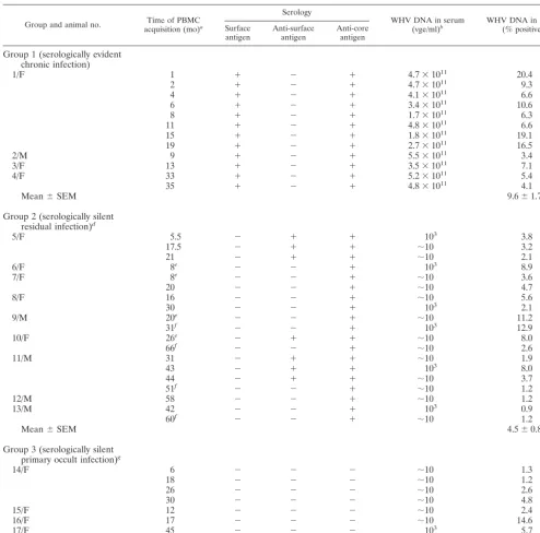 TABLE 1. Immunovirological characteristics of WHV infection at the time of analysis of WHV DNA in circulating lymphoid cells by in situPCR combined with ﬂow cytometry