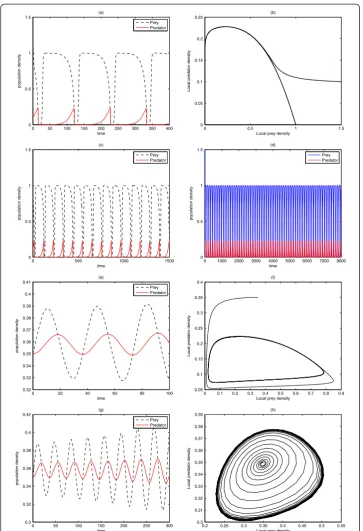 Fig. 4 Realistic predator-prey system (26). Typical phase trajectories (for (we obtain (predator v populations