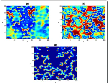 Fig. 8 Two dimensional results of the competitive model (38). The patterns are obtained with parameterst = 300, t = 500 and t = 700