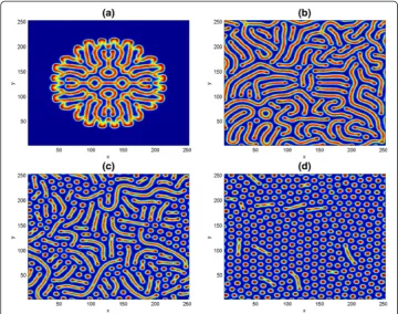Fig. 10 Two dimensional results for the mutualism system (46). The patterns are obtained for panels (a-d)at t = 500, t = 1000, t = 1500 and t = 2000 respectively