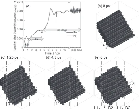 Fig. 4　Space-flling views of the MD simulations results showing the changes in structures
