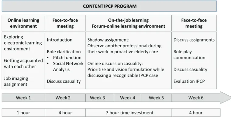 Figure 1. Format and content of the IPCP program