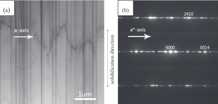 Fig. 3　(a) Bright-feld TEM image Mg98.5Zn0.5Y1 alloy prepared by directional solidifcation, (b) SAED pattern of the Mg98.5Zn0.5Y1 alloy prepared by di-rectional solidifcation.