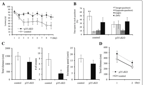 Figure 3 Defective spatial learning and memory in CreER-p35 cKO mice. (A) Latency (s) over 9 testing days in the Morris water maze inp35-flox (open square, control, n =6) and CreER-p35 cKO mice (closed rhombus, p35 cKO, n =7)
