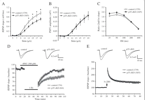 Figure 5 Impaired basal synaptic transmission and LTD induction in CreER-p35 cKO mice