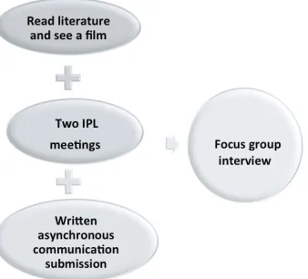 Figure 1. The project program/interview