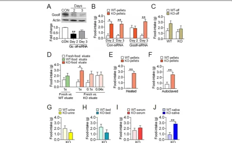 Figure 2 AC5 KO mice produced behavioral preferences for KO pellets based on an olfactory cue-directed option