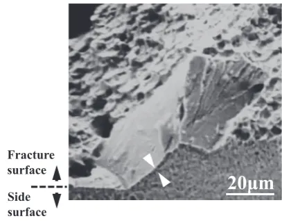 Fig. 2.Based on the results above, the following was determined. the formation of grain-boundary PFZ forms near β grain boundaries in both one-step and two-step aged specimens during the early stages of aging