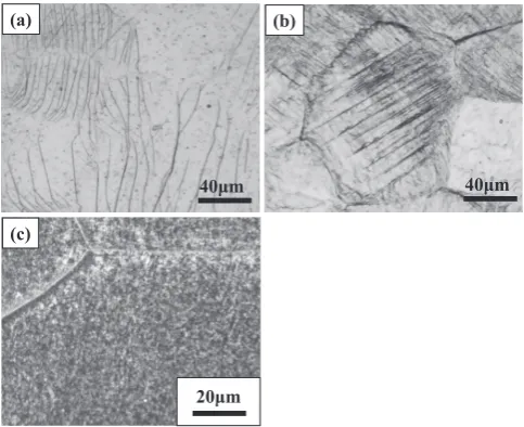Fig. 8(b), a large colony can be seen in the grain at the center 