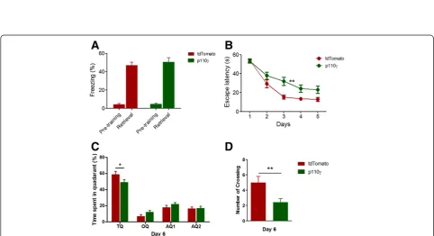 Figure 3 Effect of p110γ overexpression on basal anxiety and locomotion. (A) Basal anxiety levels of p110γ-or tdTomato-overexpressedmice in the elevated plus maze (EPM) test (Flag-p110γ, n = 12; tdTomato, n = 9, tested at 2 weeks after AAV injection)