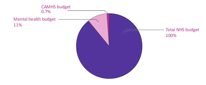 Figure 5:  CAMHS expenditure