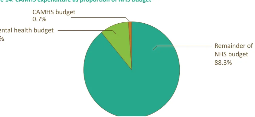 Figure 14: CAMHS expenditure as proportion of NHS Budget
