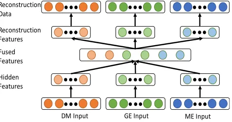 Figure 2. An example of a multimodal antuencoder (MMAE) model which takes DM, GE and ME respectively as input data