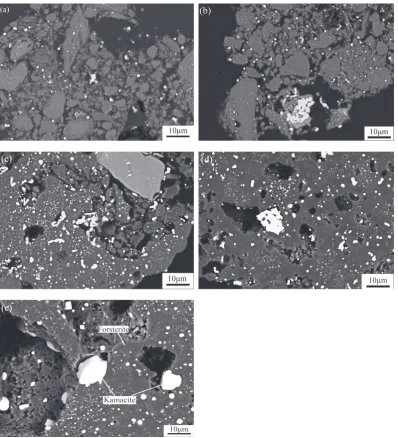 Fig. 8　SEM images of laterite ore reduced at different temperature for 40 min in the presence of 12 mass% calcium chloride