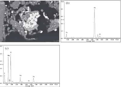 Fig. 9　SEM-EDS analysis of laterite ore reduced at 1150°C for 40 min with 12 mass% calcium chloride
