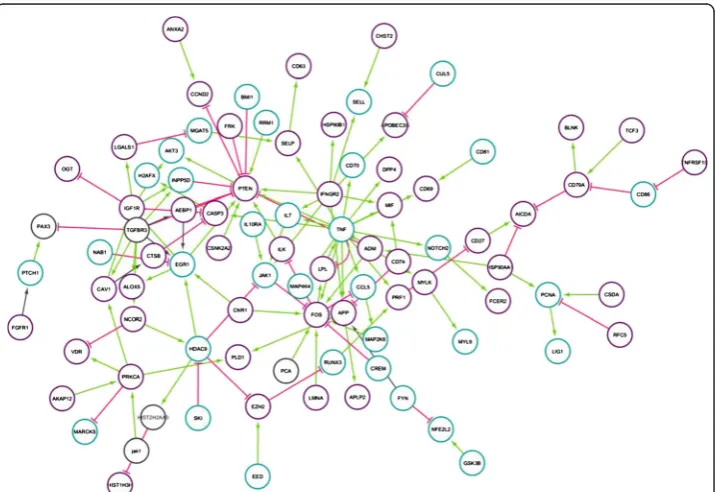 Fig. 1 Protein-protein interaction network. Pink edges: inhibition. Green edges: activation