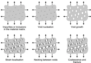 Figure 1. Ductile fracture mechanism due to the voids evolution [1]. 