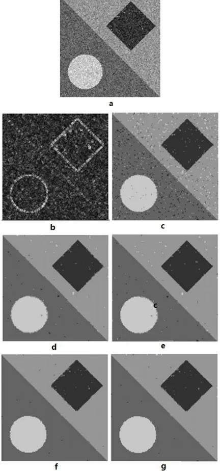 Figure 1. Comparison approaches on a synthetic image: (a) original synthetic image, (b) weighting image for RIT2FCM algorithm, (c) RFCM, (d) IIFCM, (e) T2FCM, (f) ASFIC, and (g) RIT2FCM