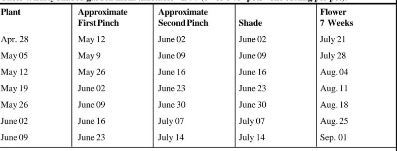 Table 4. Early shaded garden mum timetable - 1997 (6" or 6-½” pots - one cutting per pot).