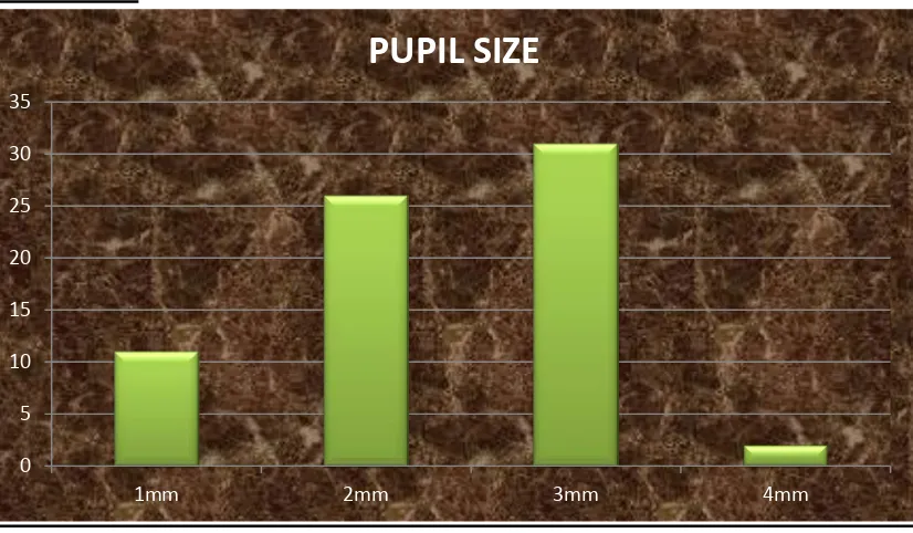 TABLE 8: DISTRIBUTION OF PUPIL SIZE 