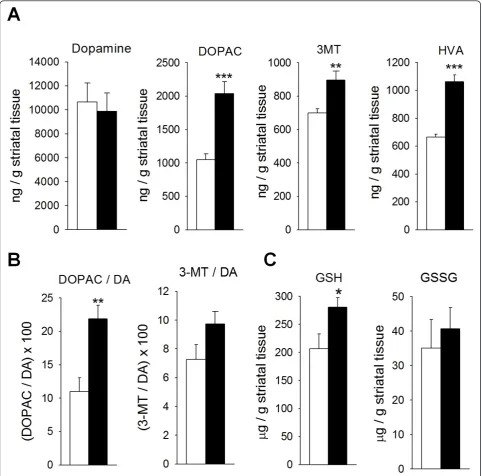 Figure 4 Smad3 ablation induces an increase in MAO-mediated DA catabolism in the ST0.05, **P < 0.01, ***P < 0.001, Student