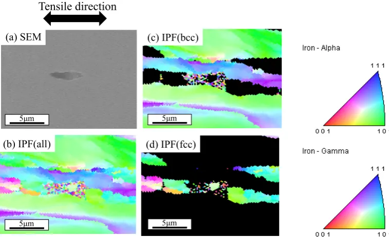 Fig. 12　Voids nucleation behavior analysis at 1.20 of true strain for γ-stable duplex stainless steel by EBSD.