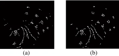 Figure 3. (a) Adaptive binarization processing image, (b) Denoising image. 