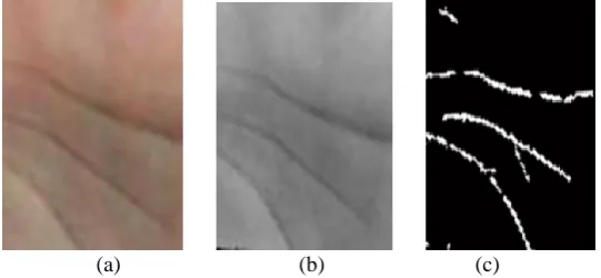 Figure 7. (a) The original image, (b) The grayscale image, (c) The binarized image. 