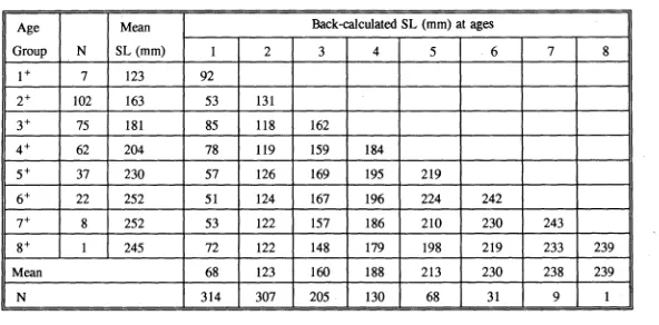 Table 5.4 Scarus rivulatus. Back-calculated lengths for each age group. 