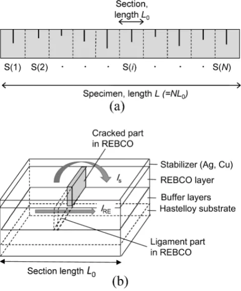 Fig. 1　Schematic representation of (a) the model specimen with length L(3~30 cm), composed of a series of sections with a length L0 (= 1.5 cm in this work) and (b) current path in a section with a partial crack, taken from our preceding work20).