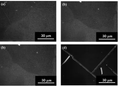 Fig. 4　SEM micrographs of the surfaces of the Nb-STO thin flms prepared on the Ni/Cu/SUS tapes with thickness of (a) 50, (b) 100, (c) 500, and (d) 1000 nm.