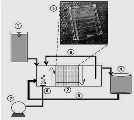 Figure 1. Schematic representation of  returne active sludge, 6) internal recirculation, 7) activated sludge (IFAS) process [1) feed tank, 2) fixed film, 3) media, 4) sedimentation tank, 5) experimental setup for integrated fixed-film blower, 8) air diffuser] 