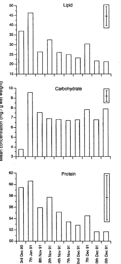 Figure 5.1. Content of total lipid, carbohydrate and protein in newly settled Upeneus tragula samples over two summers