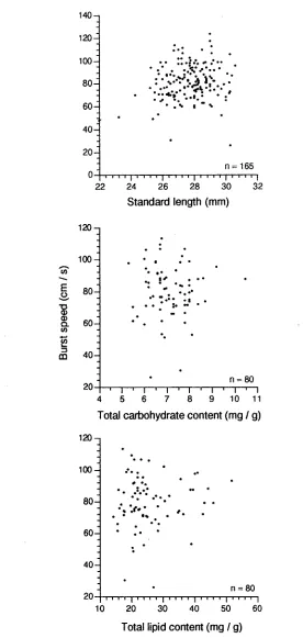 Figure 5.4. Relationship between burst speed and standard length, total carbohydrate and lipid concentrations of newly settled Upeneus tragula