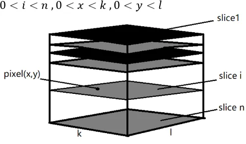 Figure 2. Structure of Volume Data. 