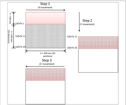 Fig. 4 Parcel scanning geometry. In Step 1 of parcel scanning, 20 detectors simultaneously record diffraction data from the lower region of the parcel from the left hand side to the right as the parcel is translated