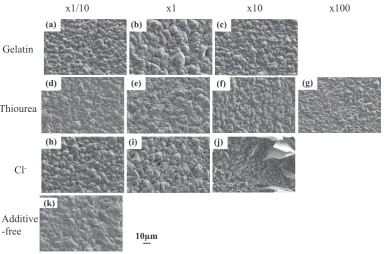 Fig. 1　Surface SEM images of Cu electrodeposited from solutions containing various concentrations of single additives: gelatin at (a) 0.171, (b) 1.71, and (c) 17.1 mg·dm−3; thiourea at (d) 0.0023, (e) 0.023, (f) 0.23, and (g) 2.3 mmol·dm−3; Cl− at (h) 0.165, (i) 1.65, and (j) 16.5 mmol·dm−3; and (k) without any additives as a reference.