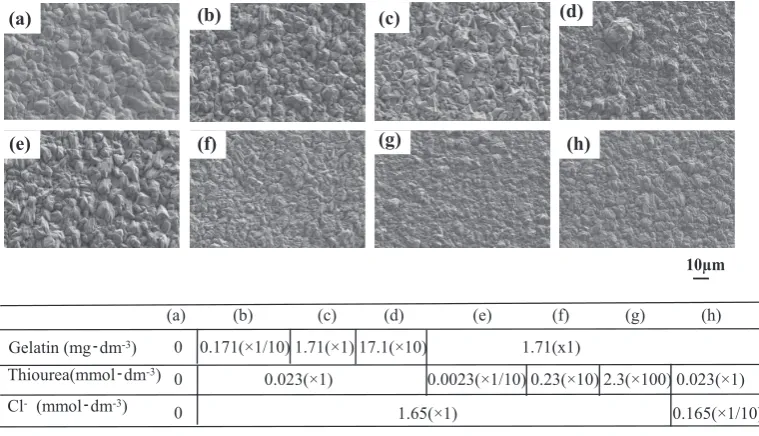 Fig. 3　Surface SEM images of Cu deposited from solutions containing all three additives.