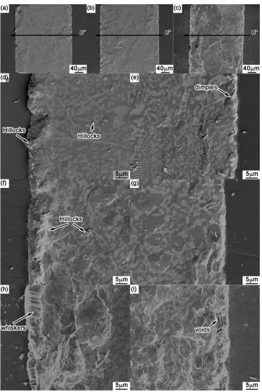 Fig. 4　Surface morphologies of Sn-58Bi/Cu solder joints after current stressing for (a) 33 h, (b) 66 h and (c) 132 h in which the images on the left-, mid-dle- and right-column represent the cross section, the anode side and the cathode side, respectively.