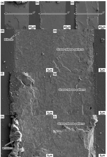 Fig. 5　Surface morphologies of Sn-58Bi/Cu-Zn solder joints after current stressing for (a) 33 h, (b) 66 h and (c) 132 h in which the images on the left-, middle- and right-column represent the cross section, the anode side and the cathode side, respectively.
