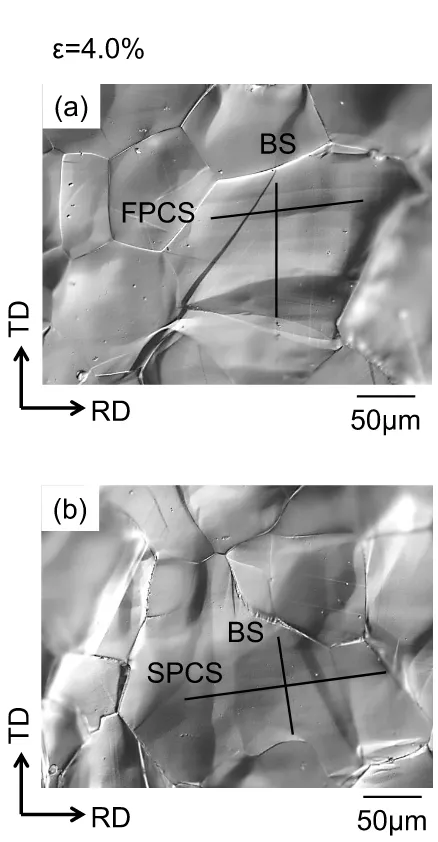 Fig. 12　Optical micrographs of slip lines caused by basal and non-basal slips: (a) FPCS and (b) SPCS on the surface of M-1 when ε was 4.0%.