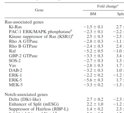 FIG. 5. E2A activity is inhibited in B cells from LMP2A transgenicmice. DNA binding assays were performed with nuclear extracts pre-
