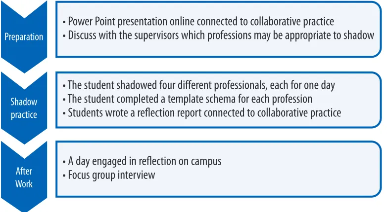 Figure 1. Model of interprofessional shadowing practice 