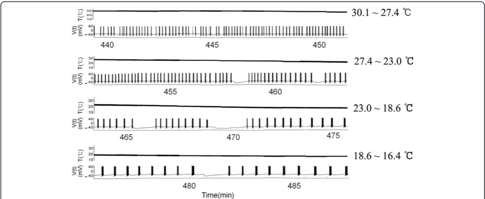 Figure 2 Continuous bursting patterns obtained from the dataset of intracellular recordings of experiment A during the 4th fallingphase (from 440 to 487 minutes) out of eight recorded falling phases